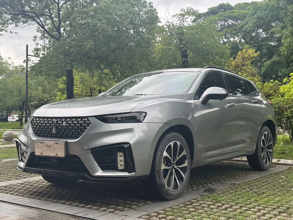 Wey Wei brand VV7