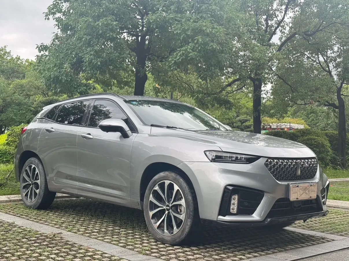 Wey Wei brand VV7