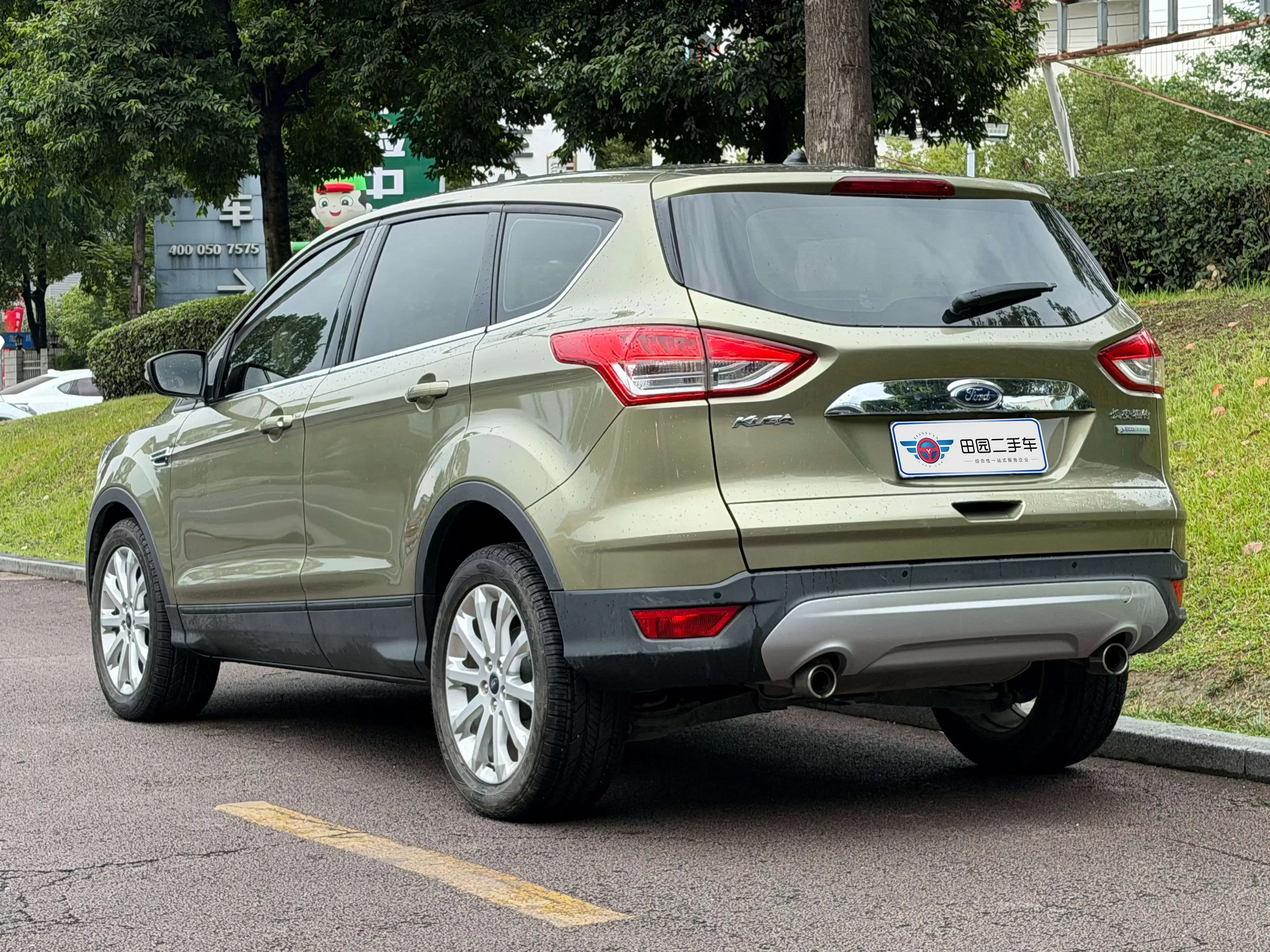 Ford wing tiger