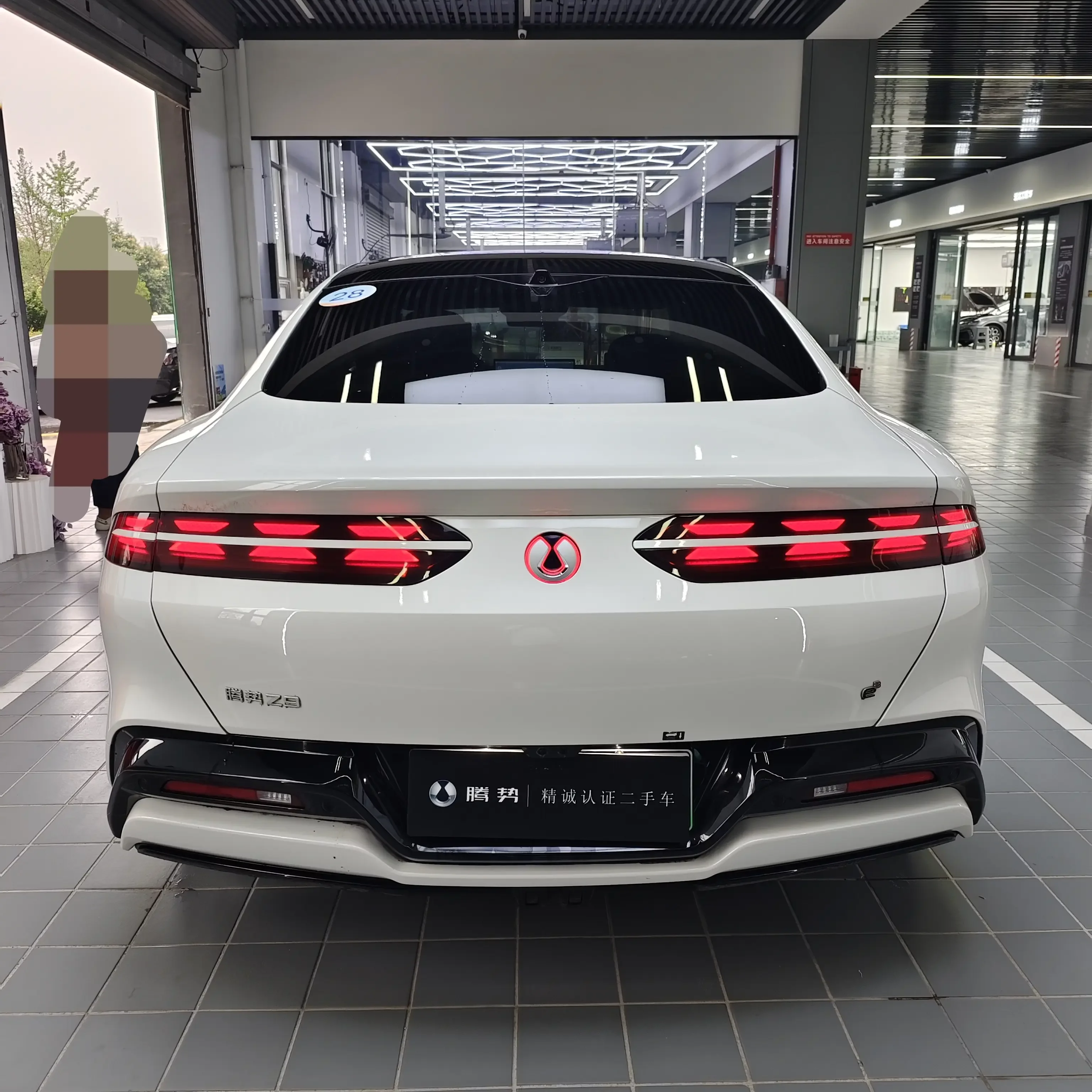 Denza Tengzhong Z9 DM