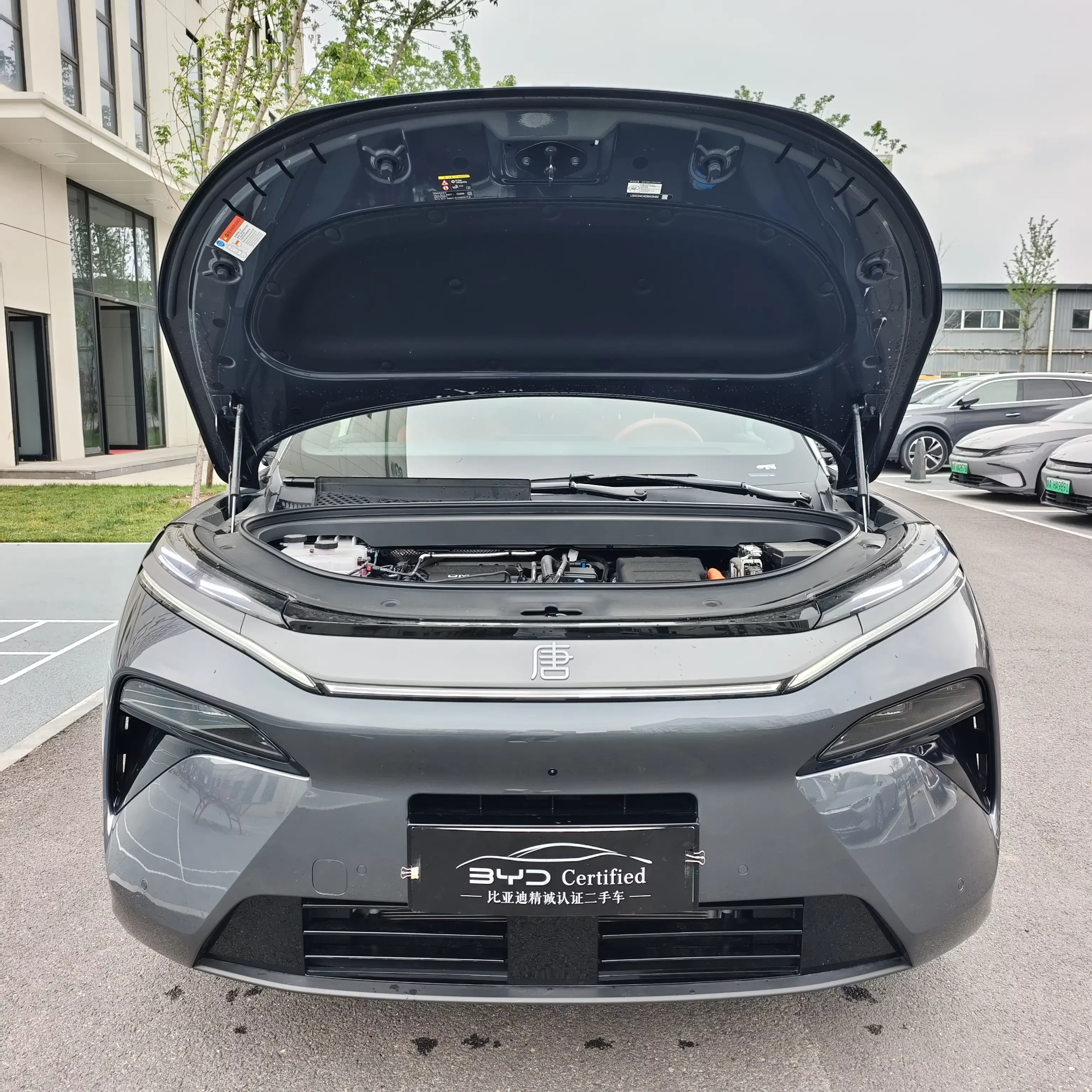 BYD Tang L DM
