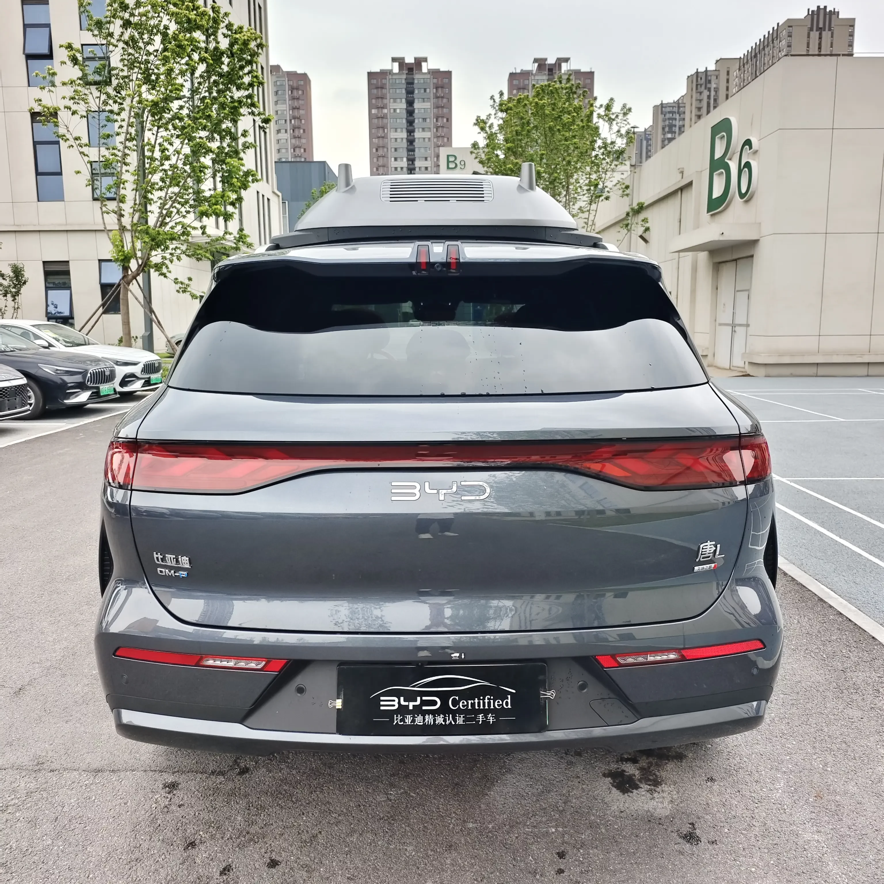 BYD Tang L DM