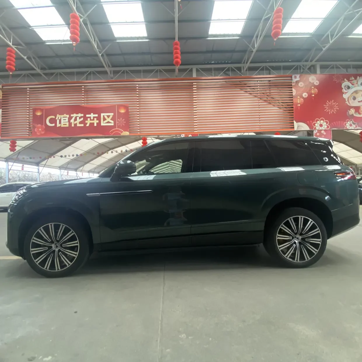 Denza Tengzhong N9 DM