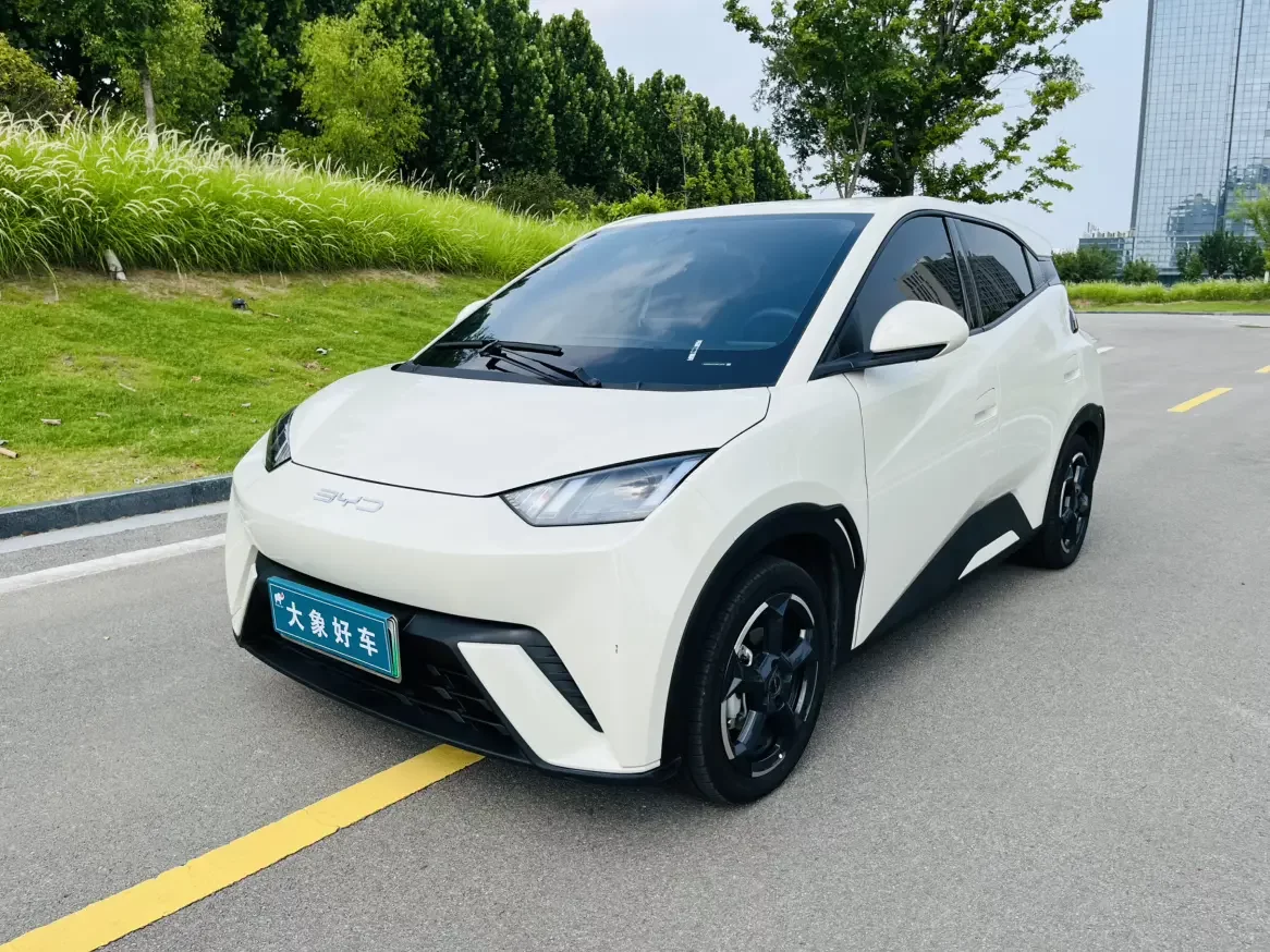 BYD seagull