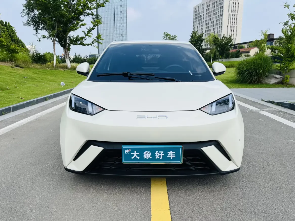 BYD seagull