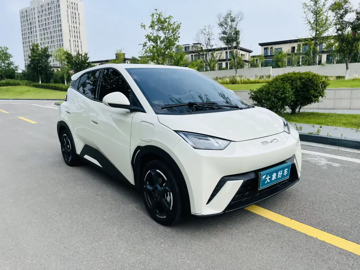 BYD seagull
