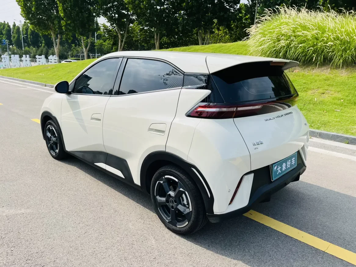 BYD seagull