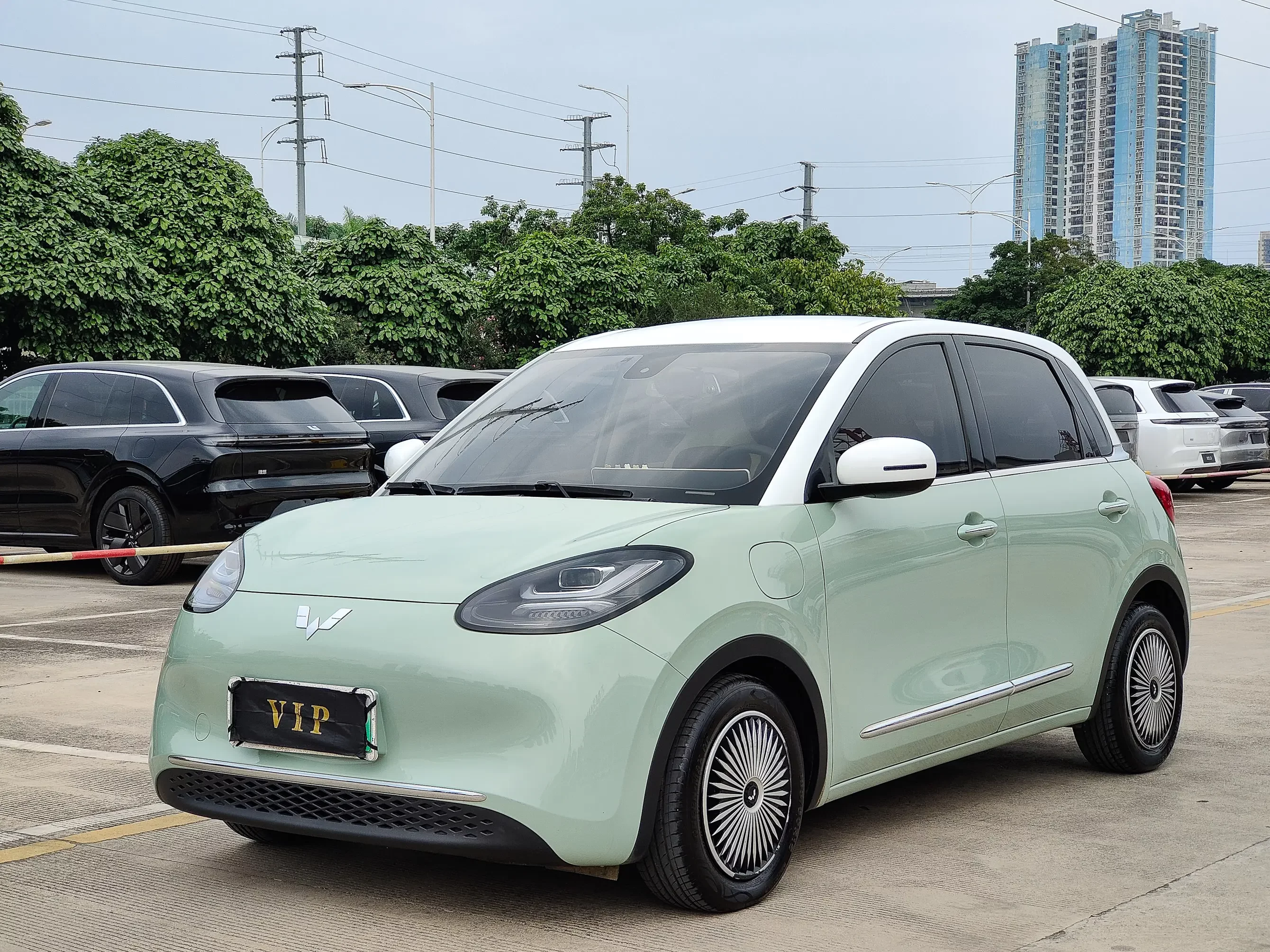 Wuling Bingo