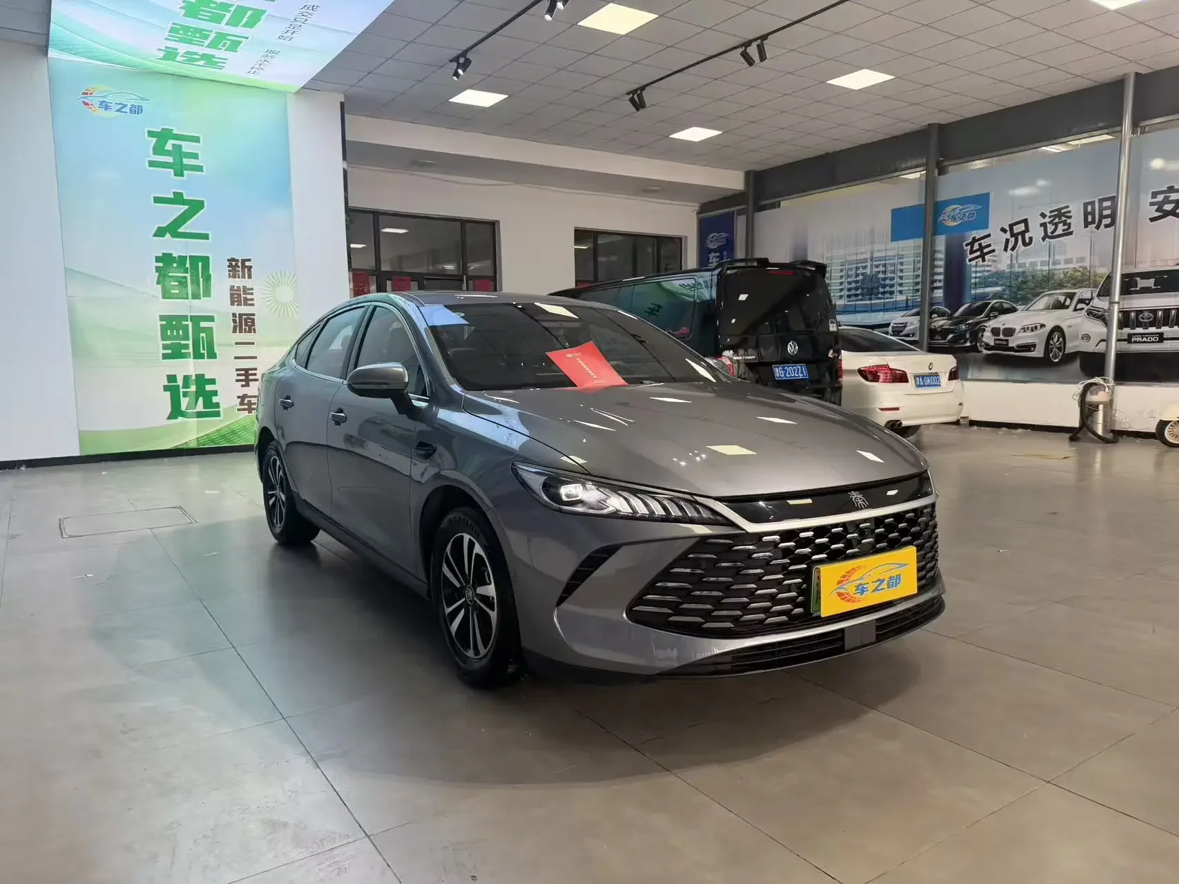BYD Qin PLUS DM