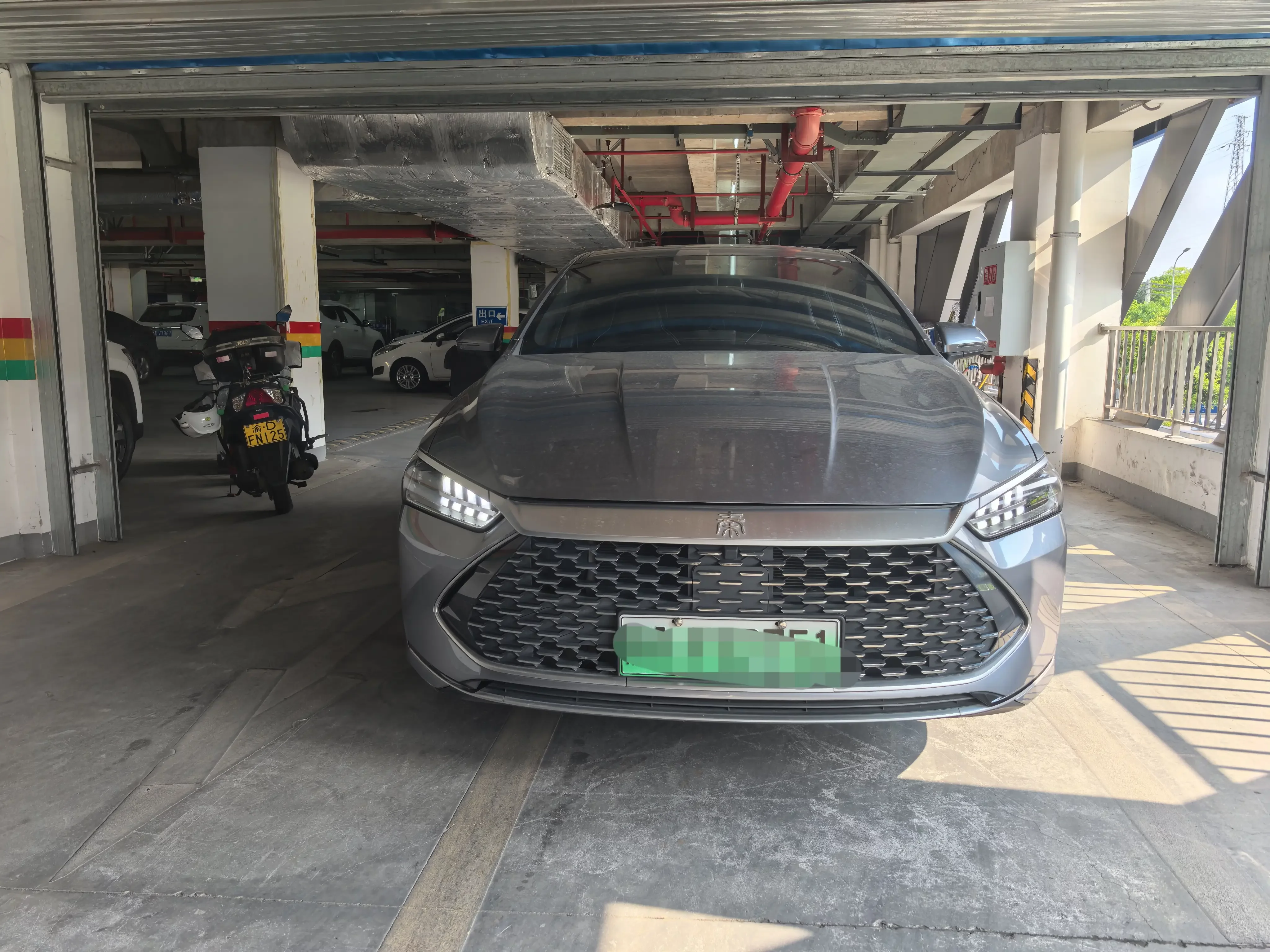 BYD Qin PLUS DM