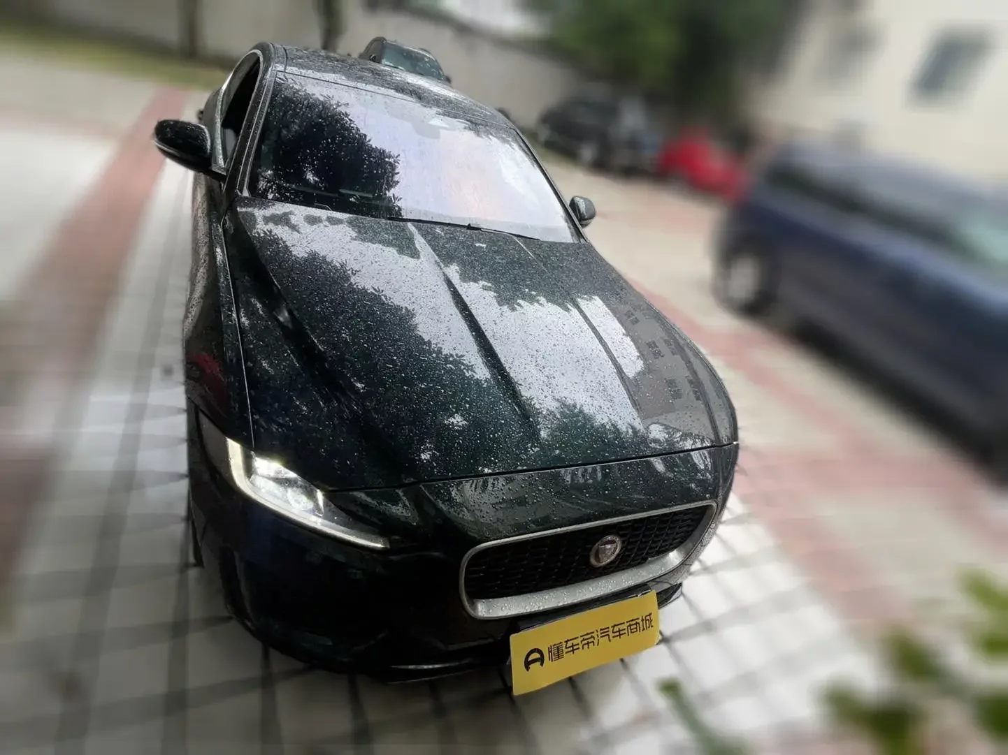 Jaguar XEL
