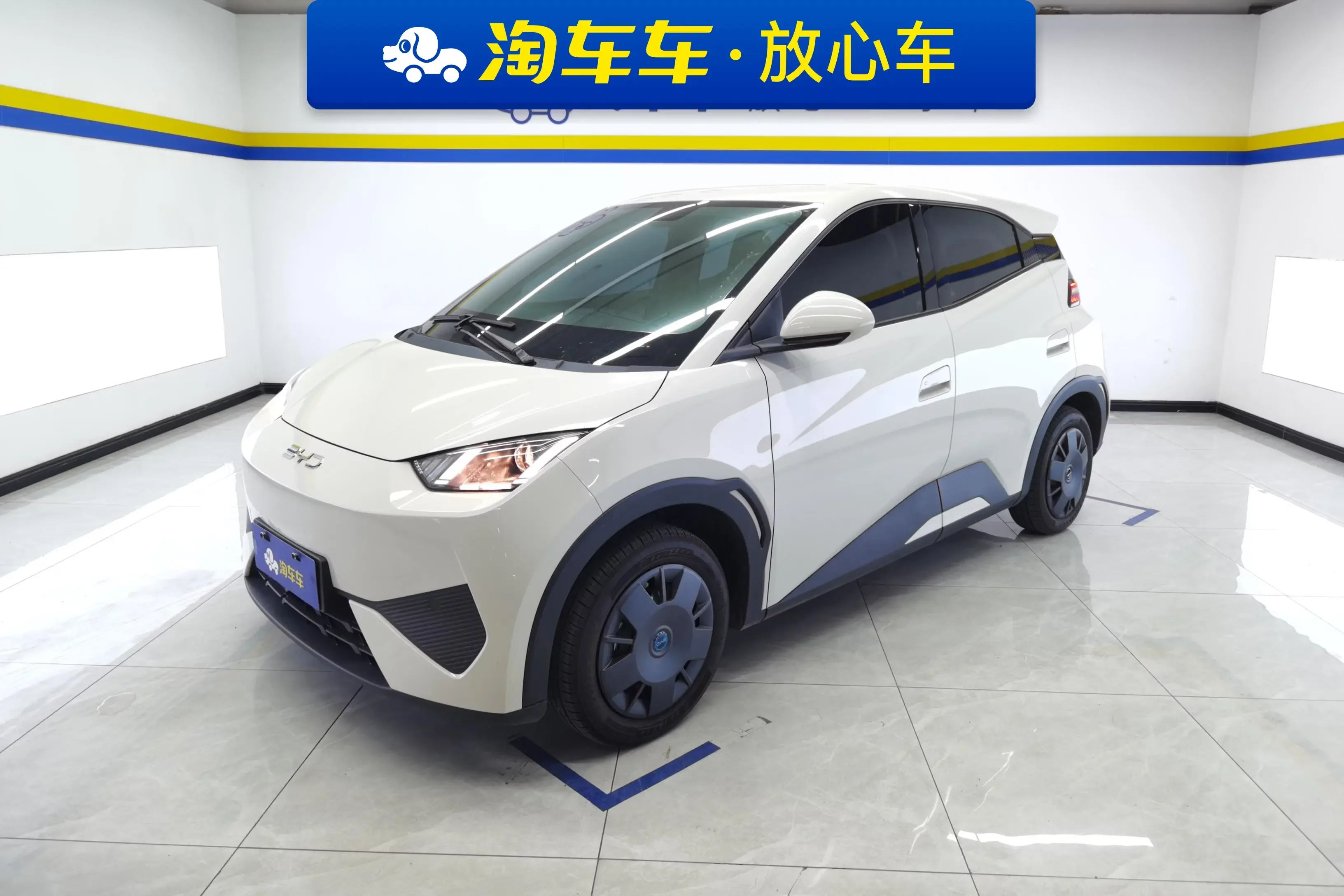 BYD seagull