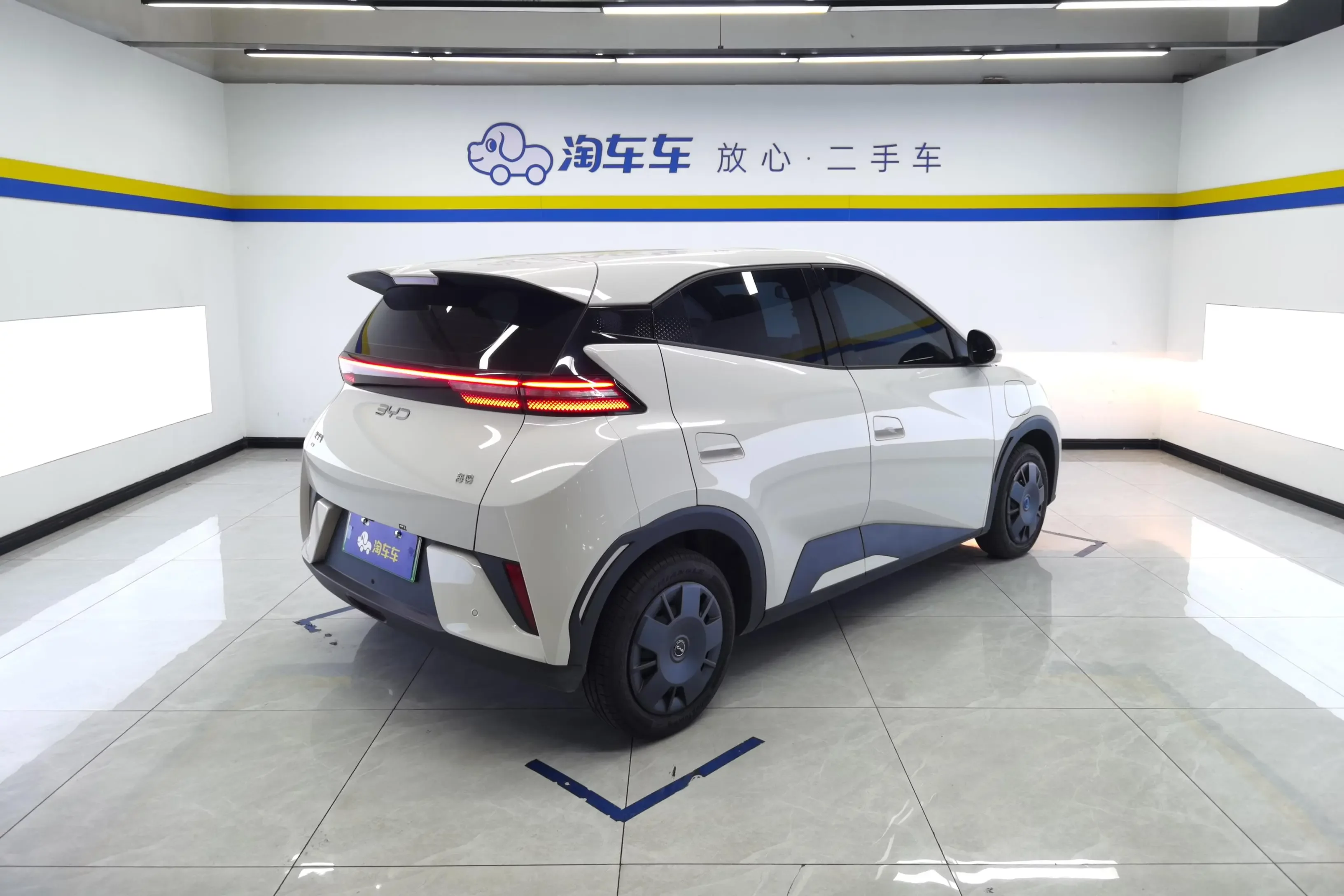 BYD seagull