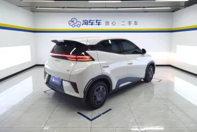BYD seagull