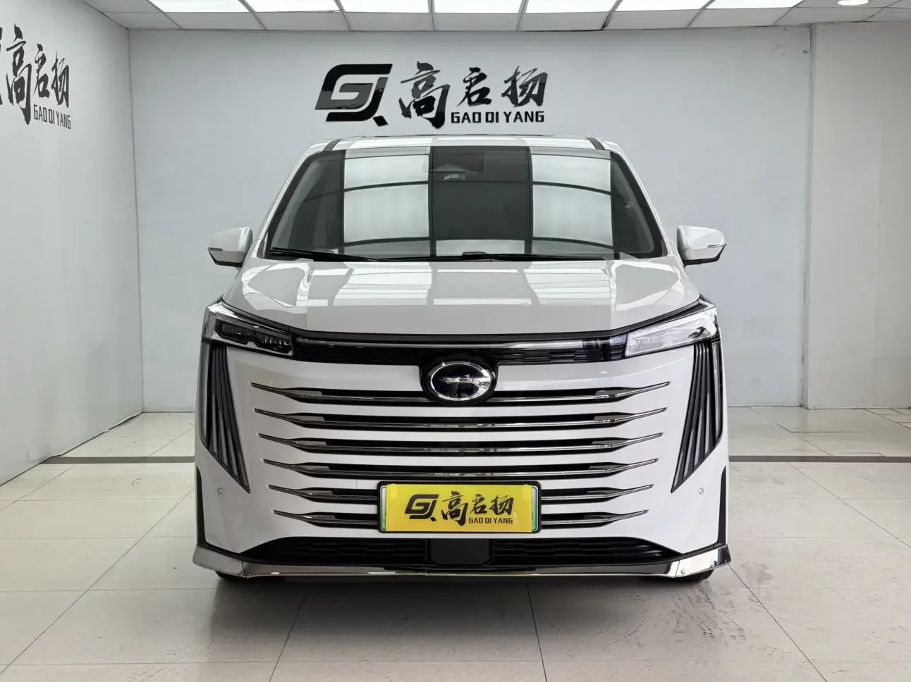 GAC Trumpchi E9 PHEV