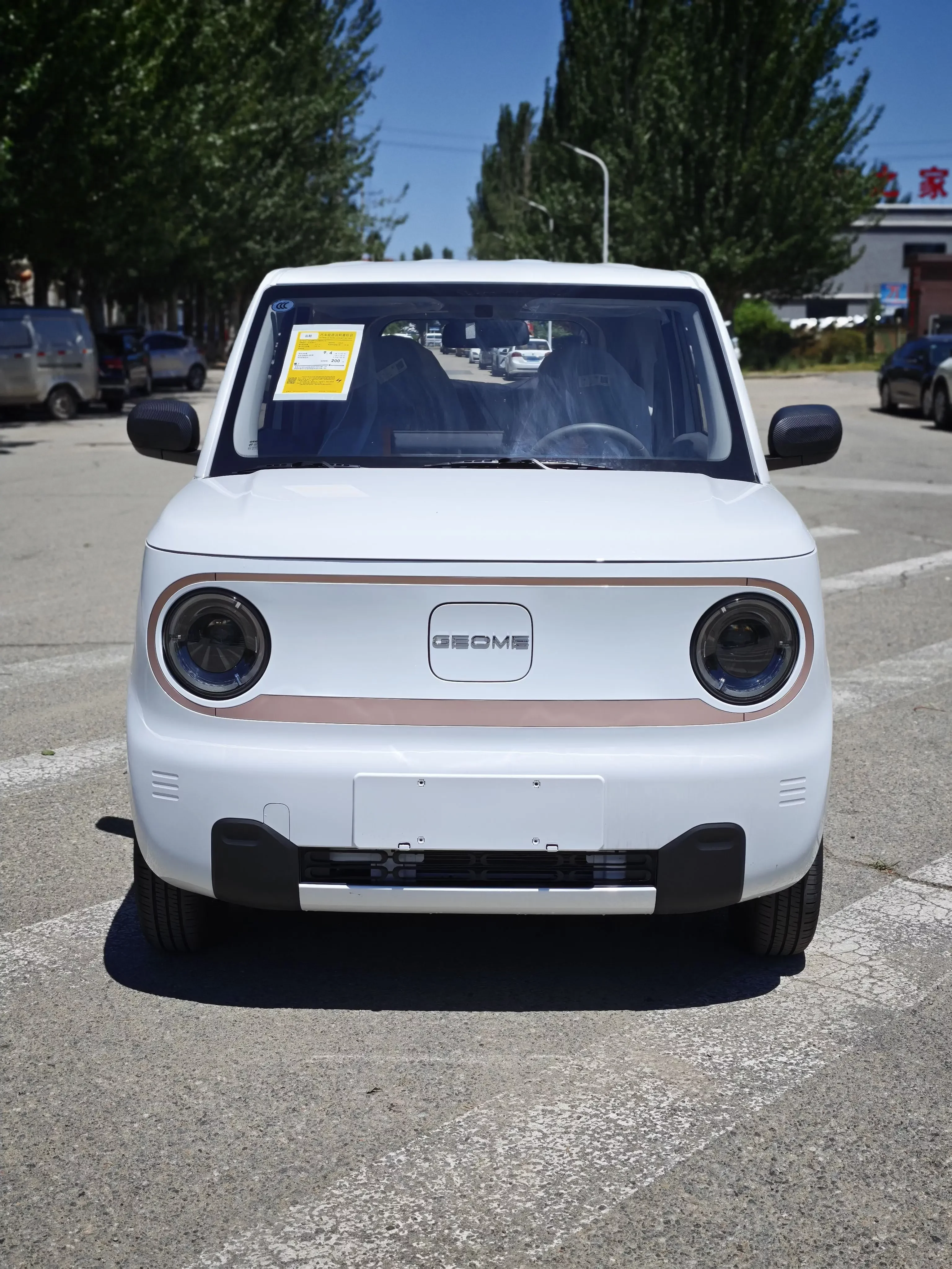 Geely panda