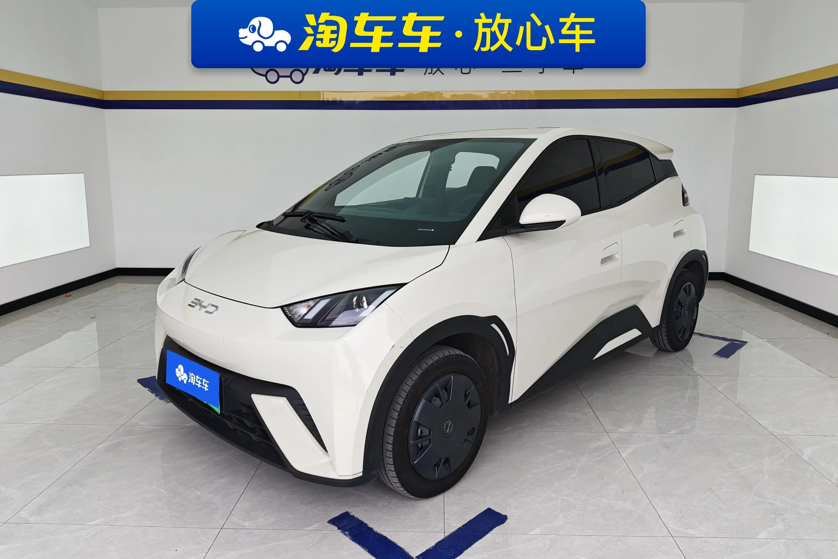 BYD seagull