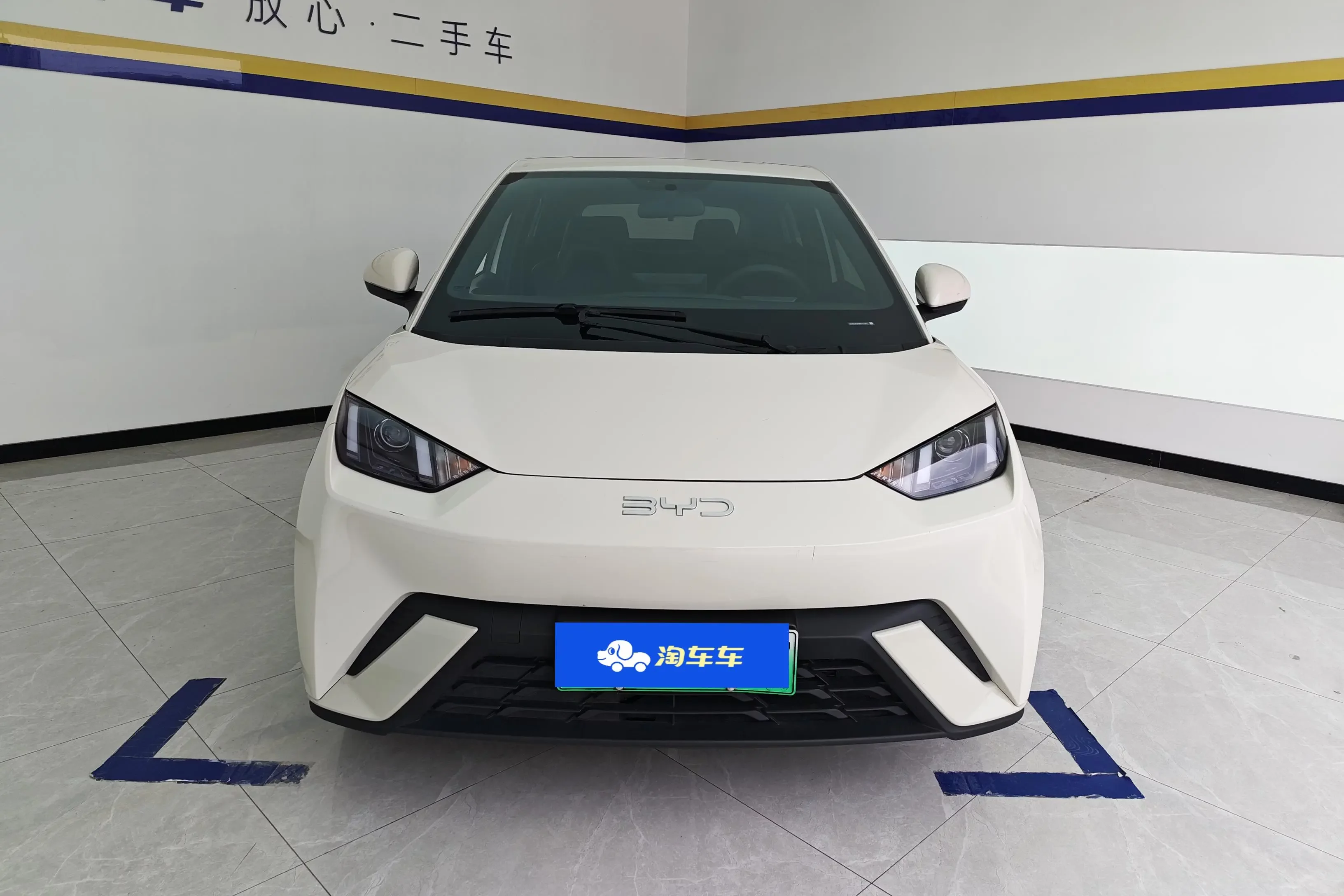 BYD seagull