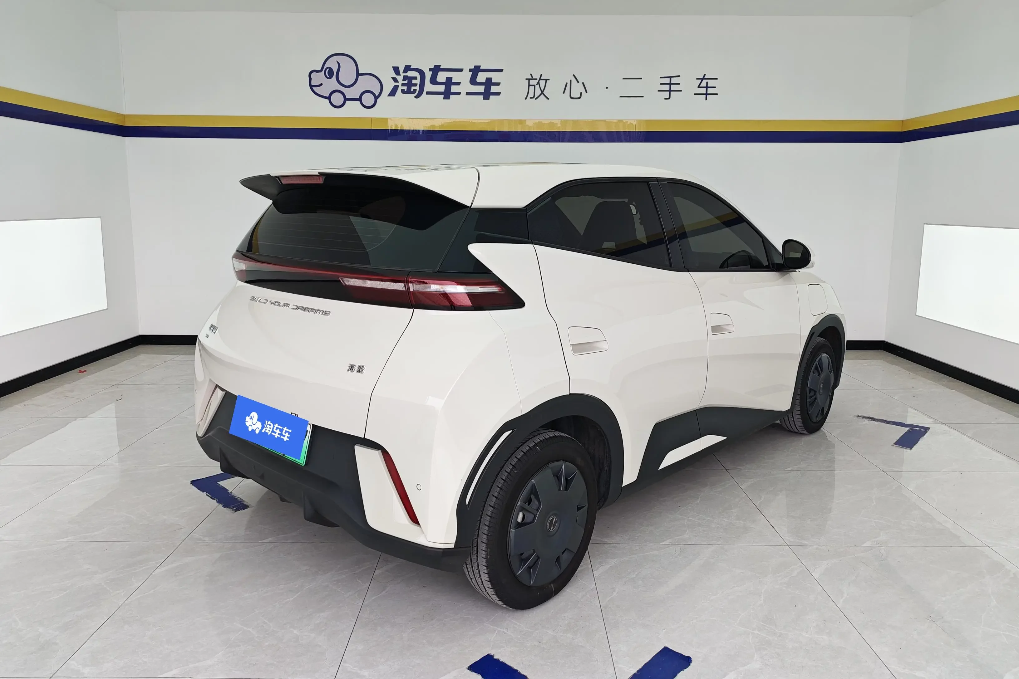 BYD seagull
