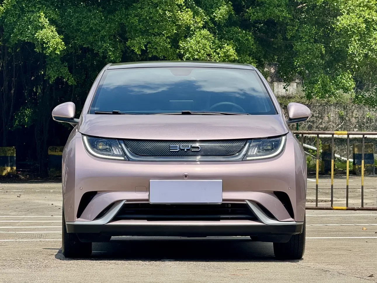 BYD dolphin