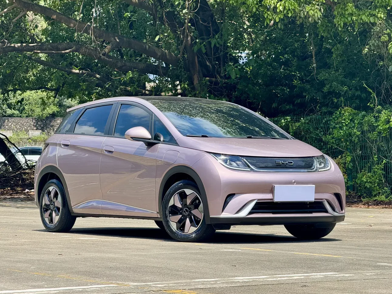 BYD dolphin