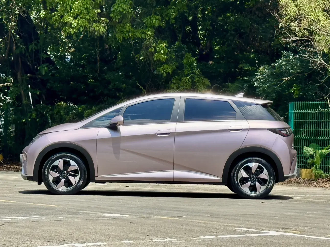 BYD dolphin