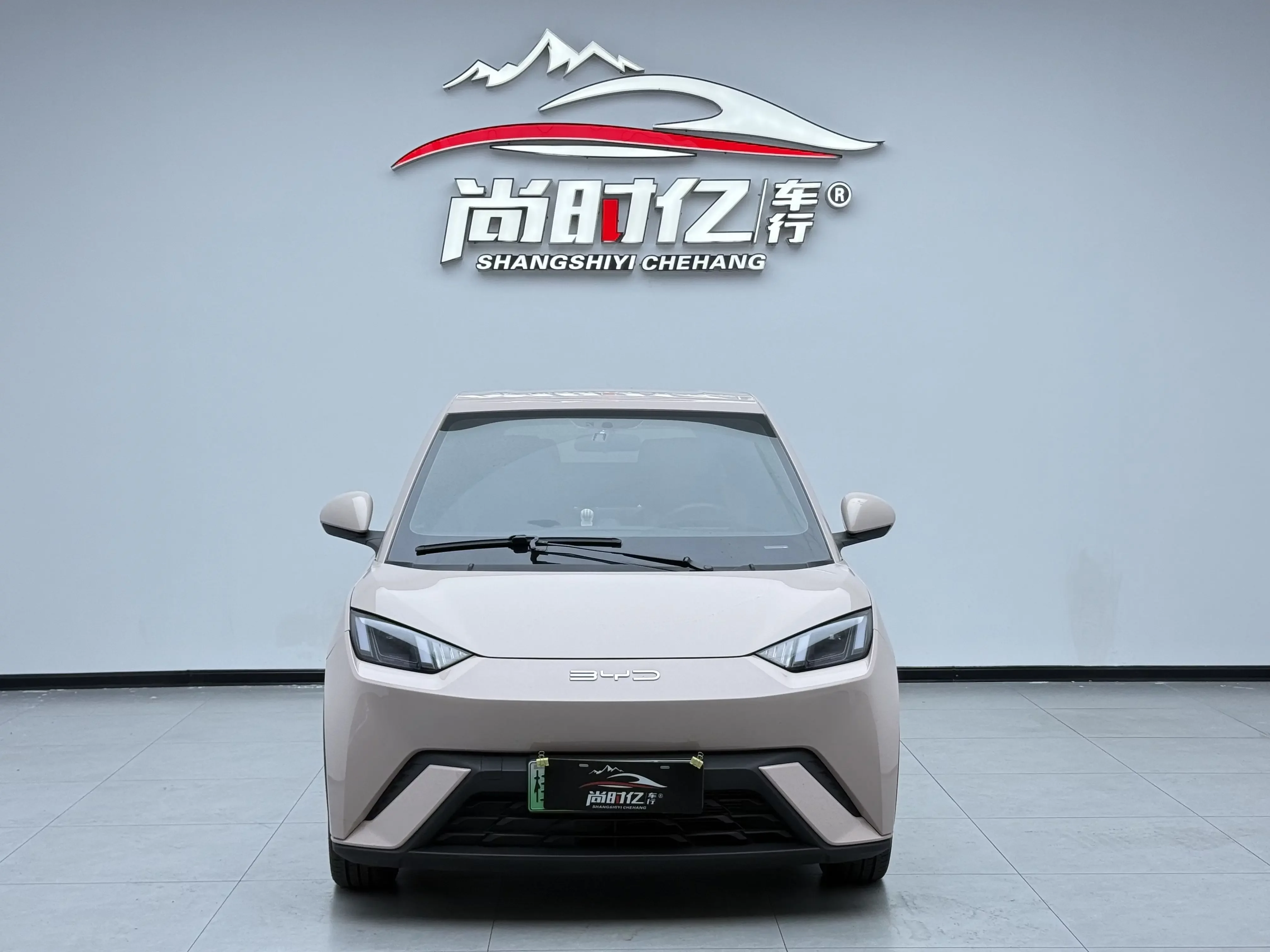 BYD seagull