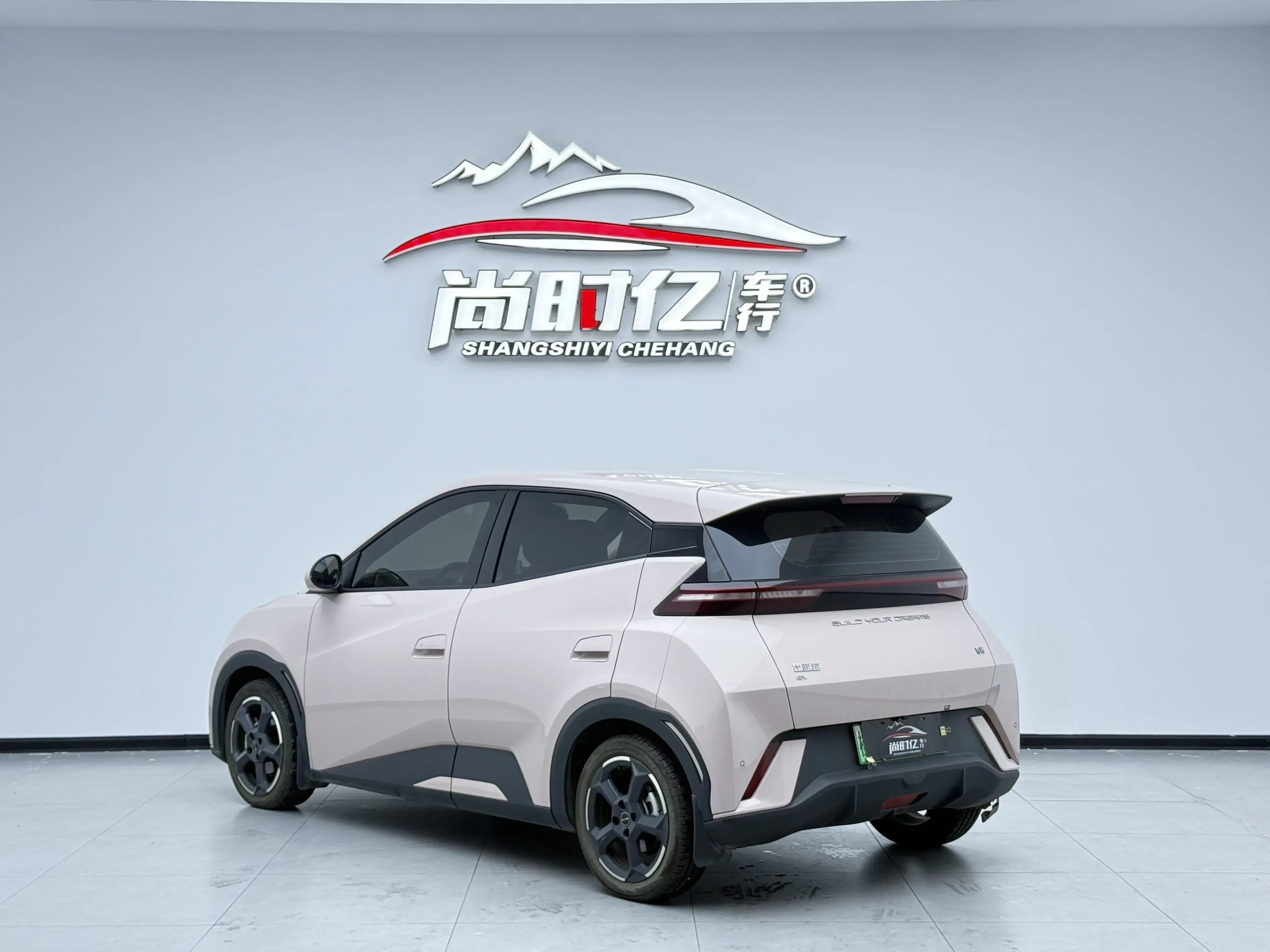 BYD seagull