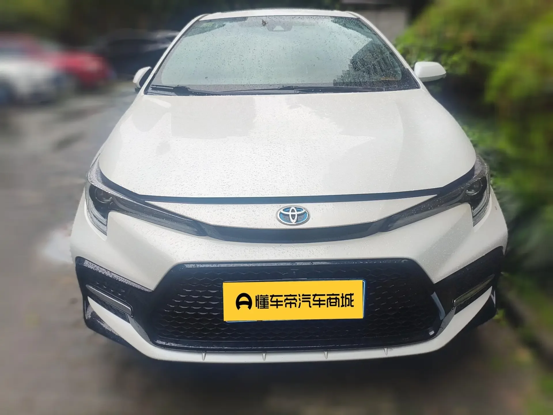Toyota Levin