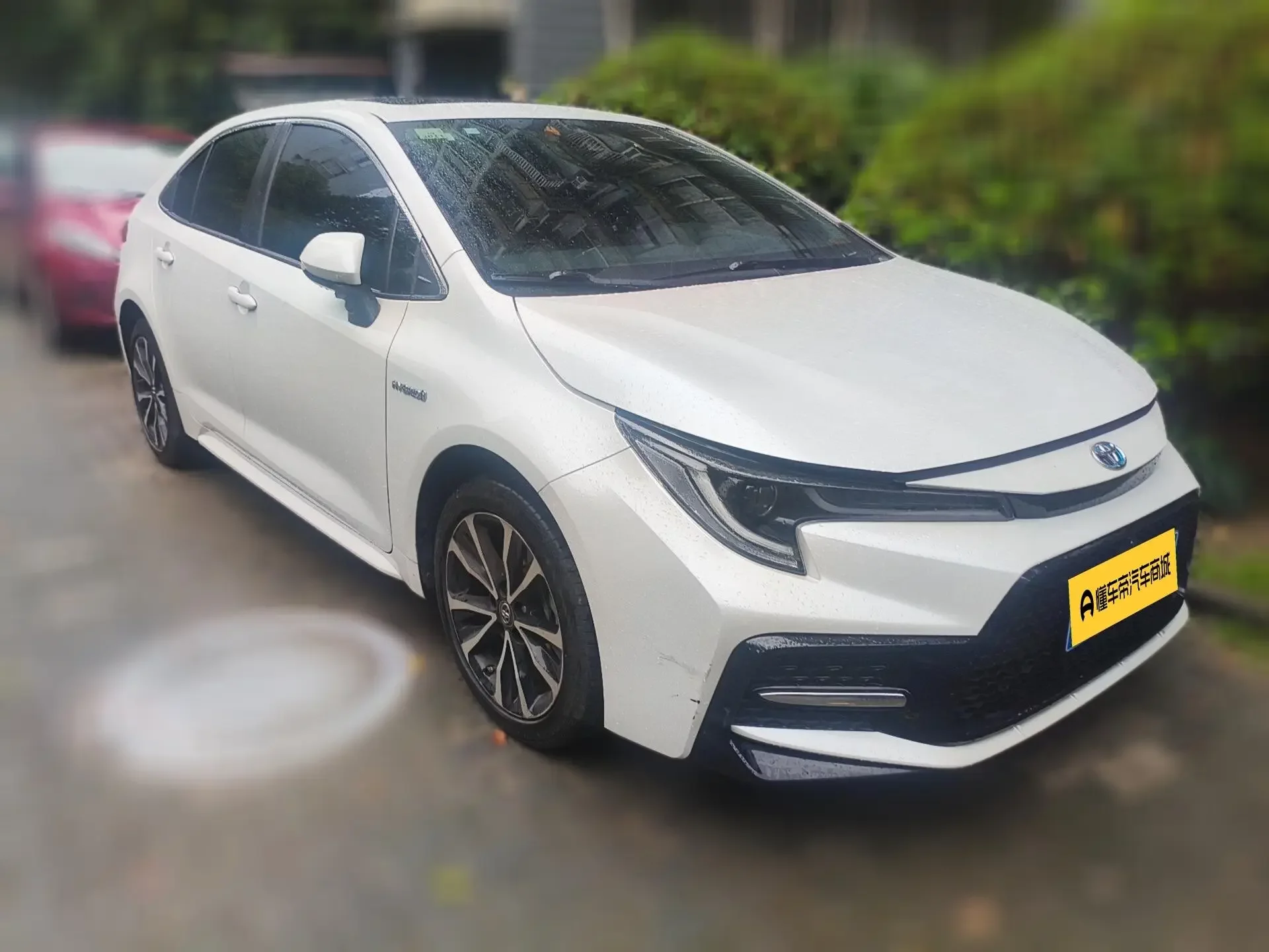 Toyota Levin