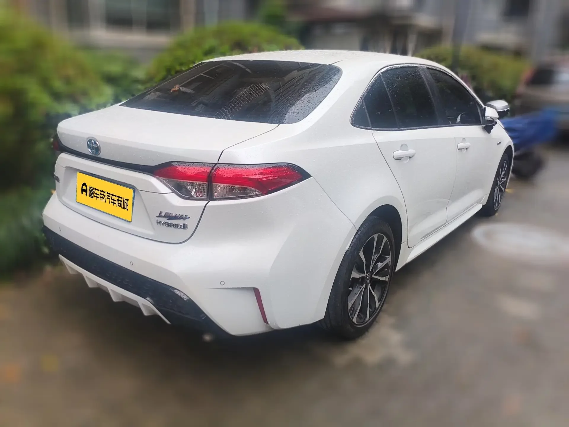 Toyota Levin