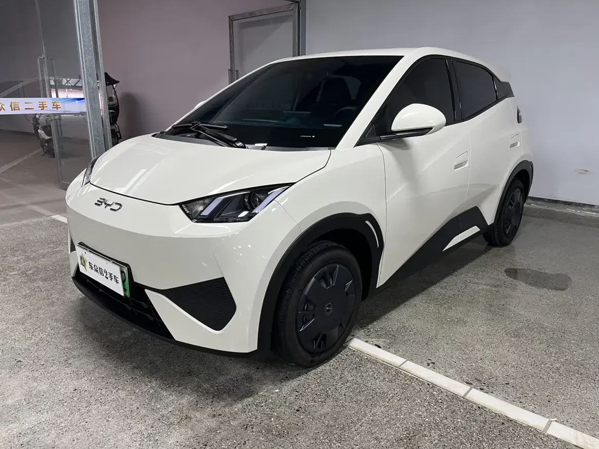 BYD seagull