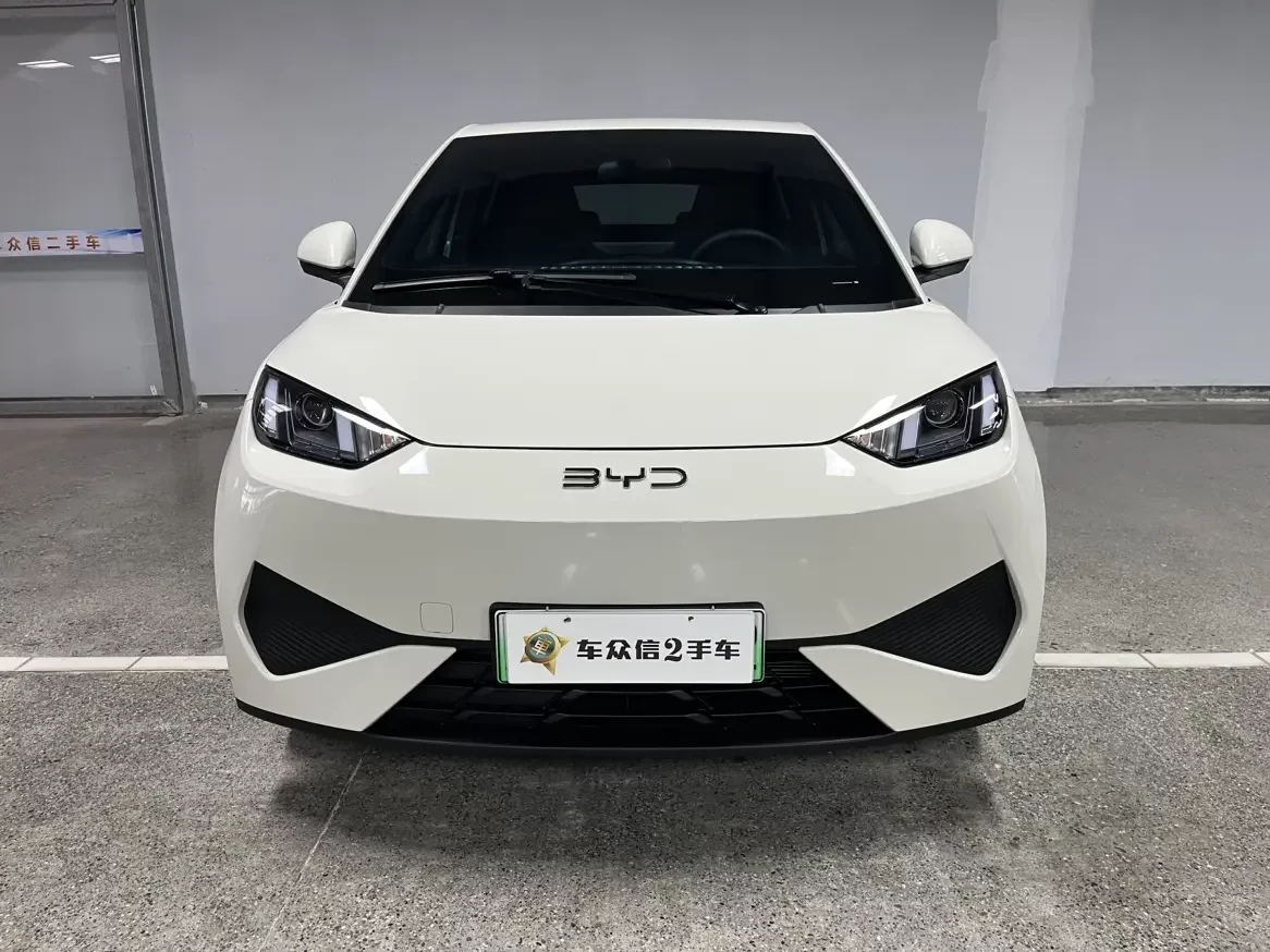BYD seagull