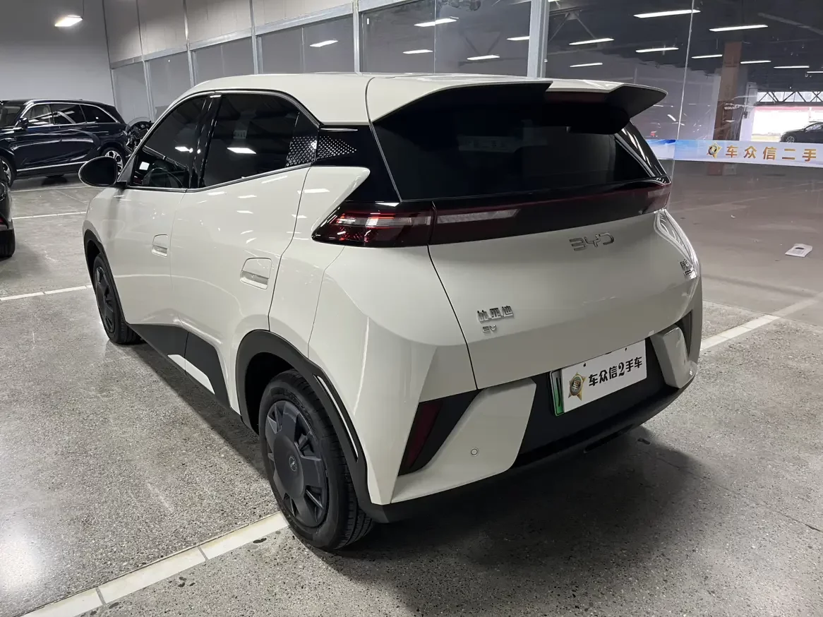 BYD seagull