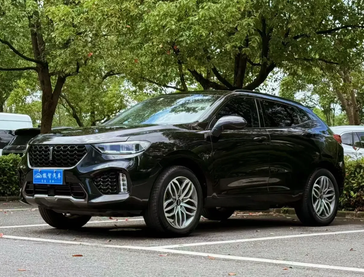 Wey Wei brand VV5