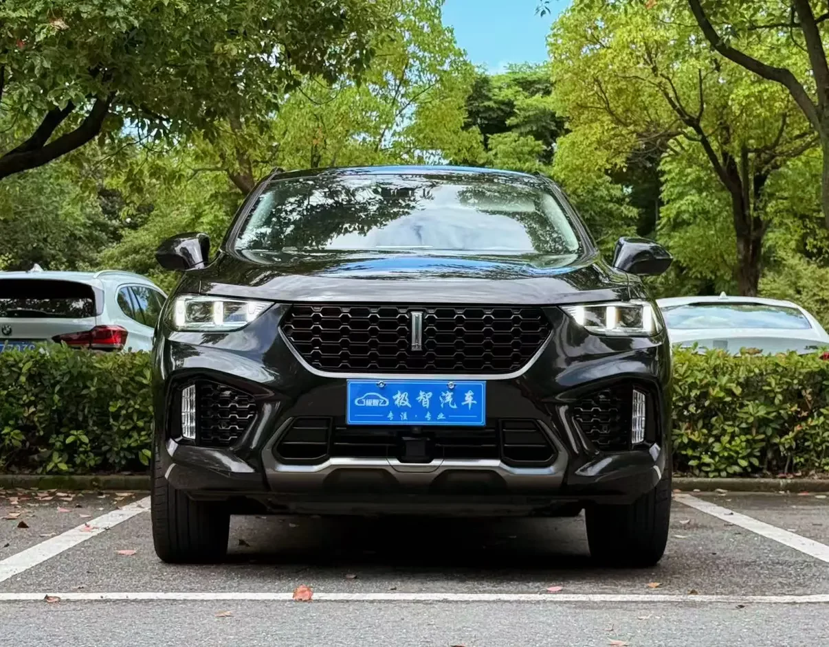 Wey Wei brand VV5