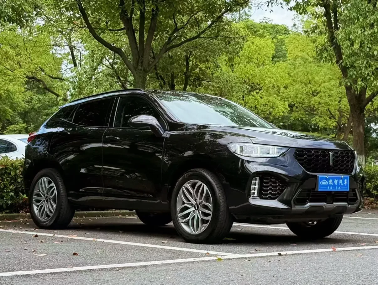 Wey Wei brand VV5