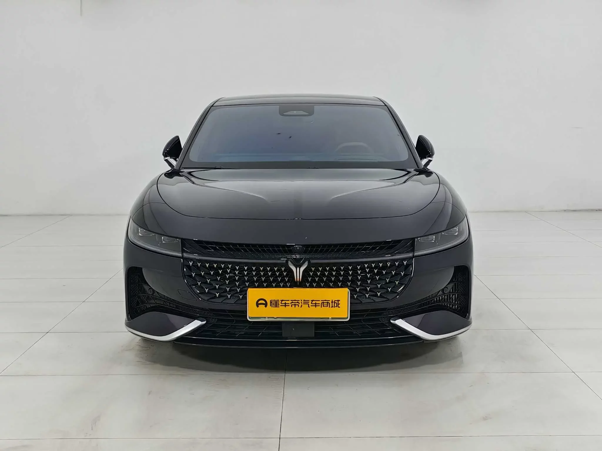 Voyah Passion PHEV