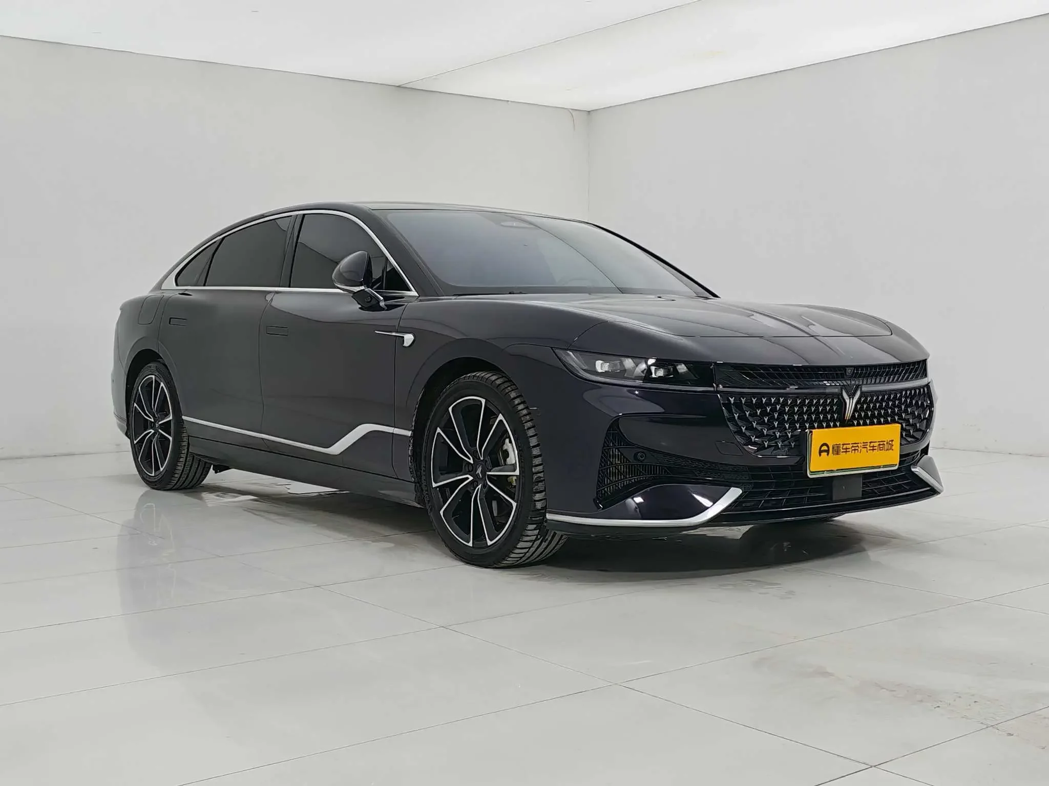 Voyah Passion PHEV