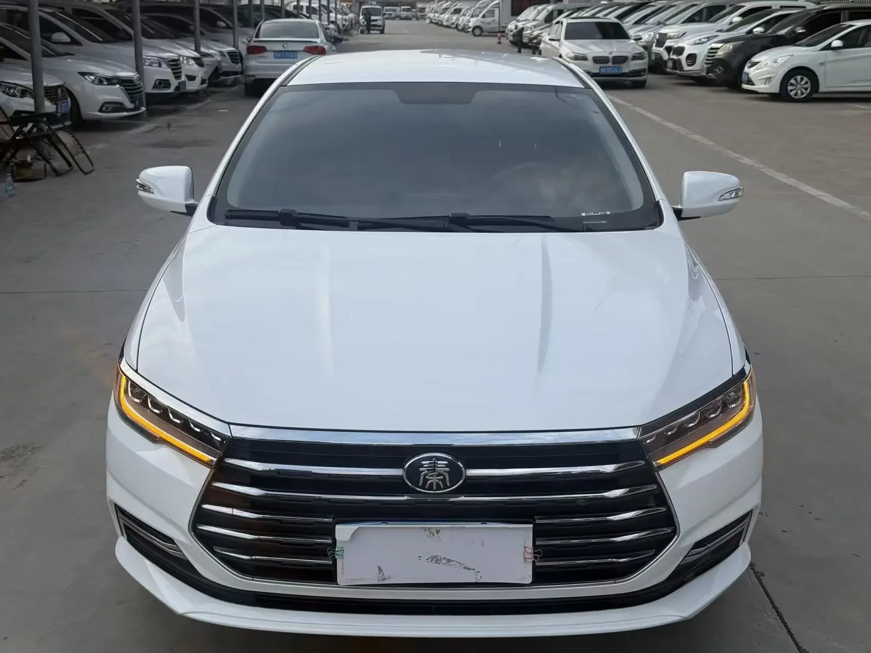 BYD Qin