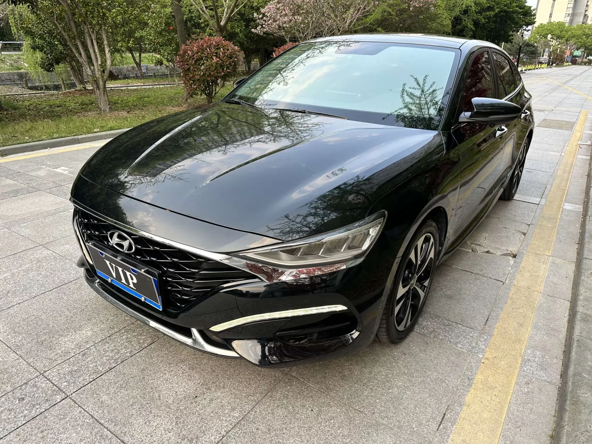 Hyundai Lafesta