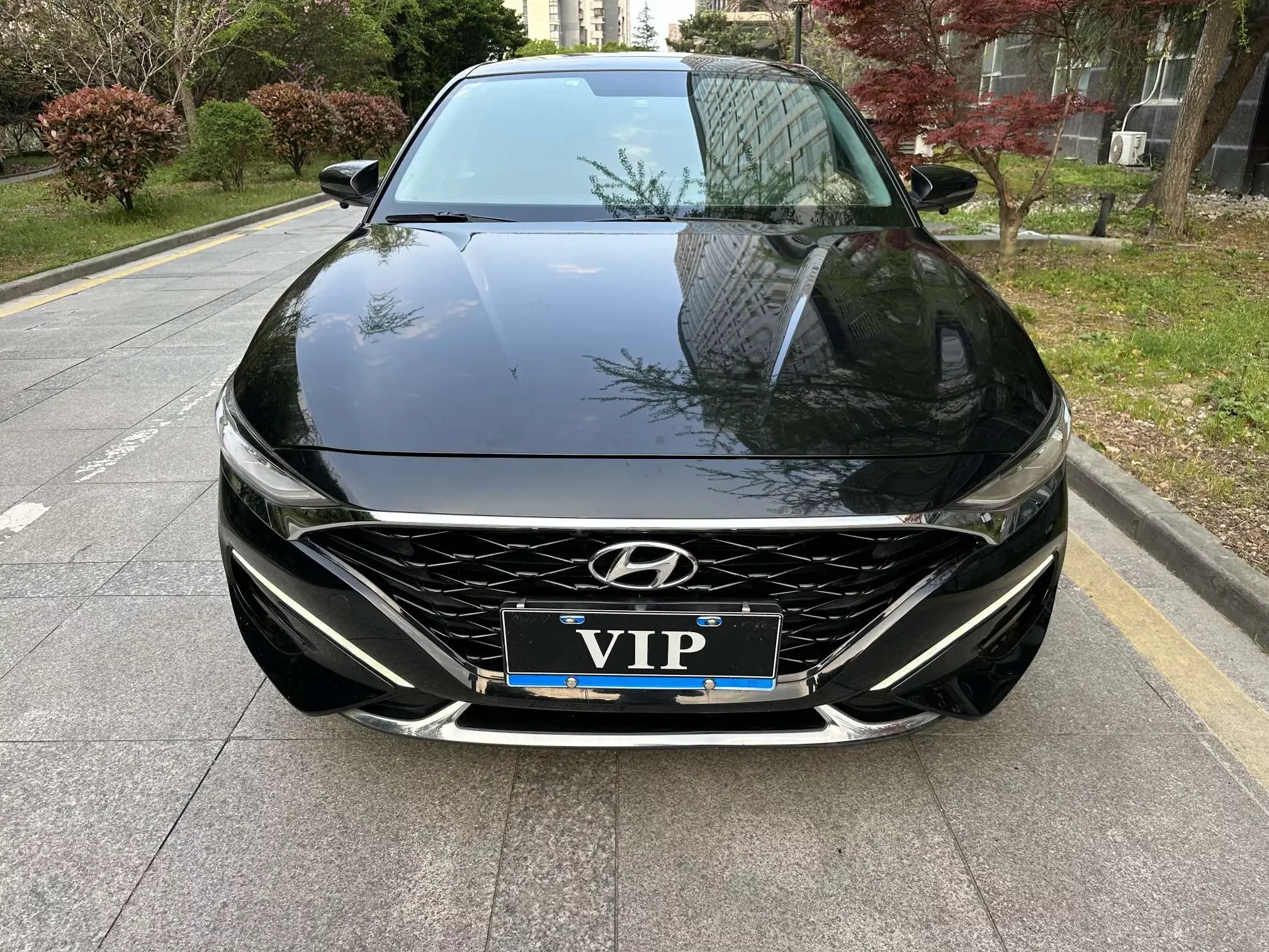 Hyundai Lafesta