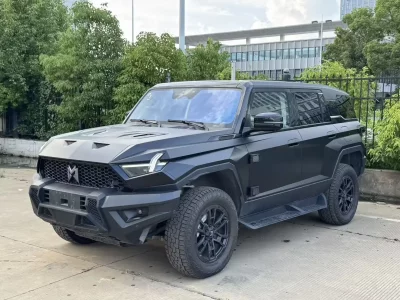 Mengshi Warrior 917