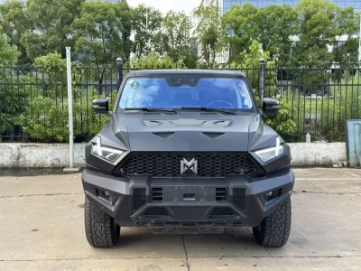 Mengshi Warrior 917