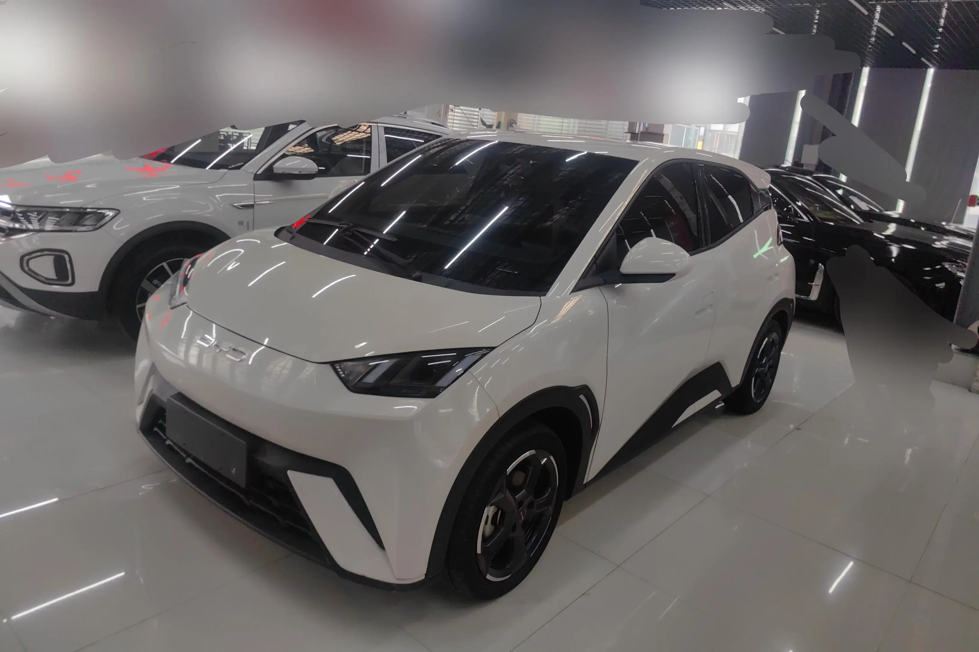 BYD seagull