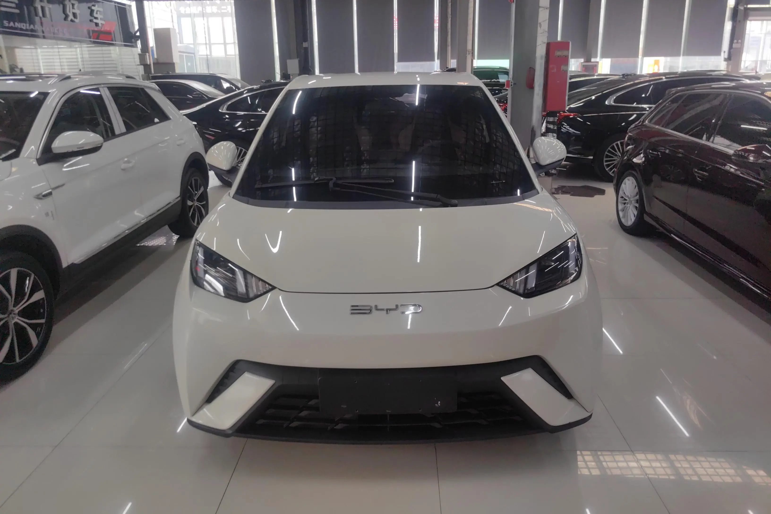 BYD seagull
