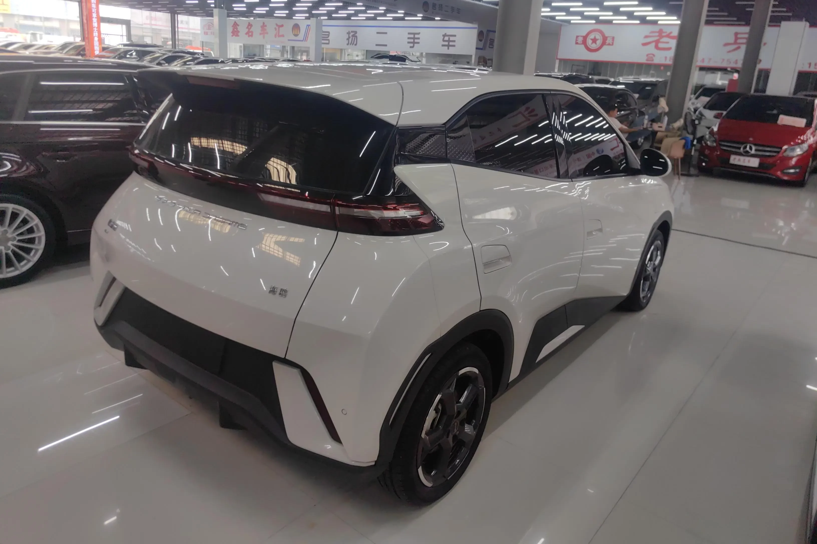 BYD seagull