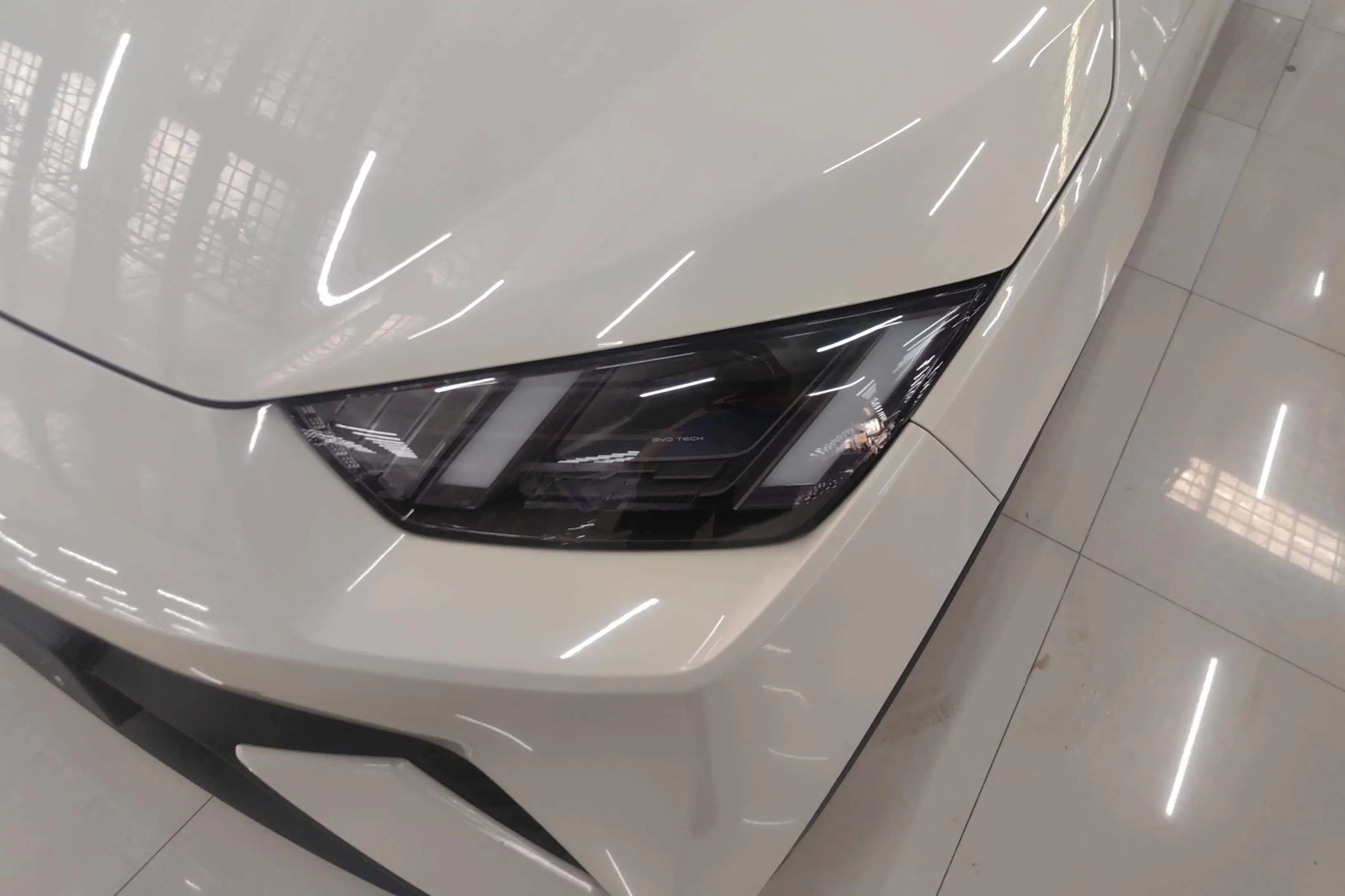 BYD seagull