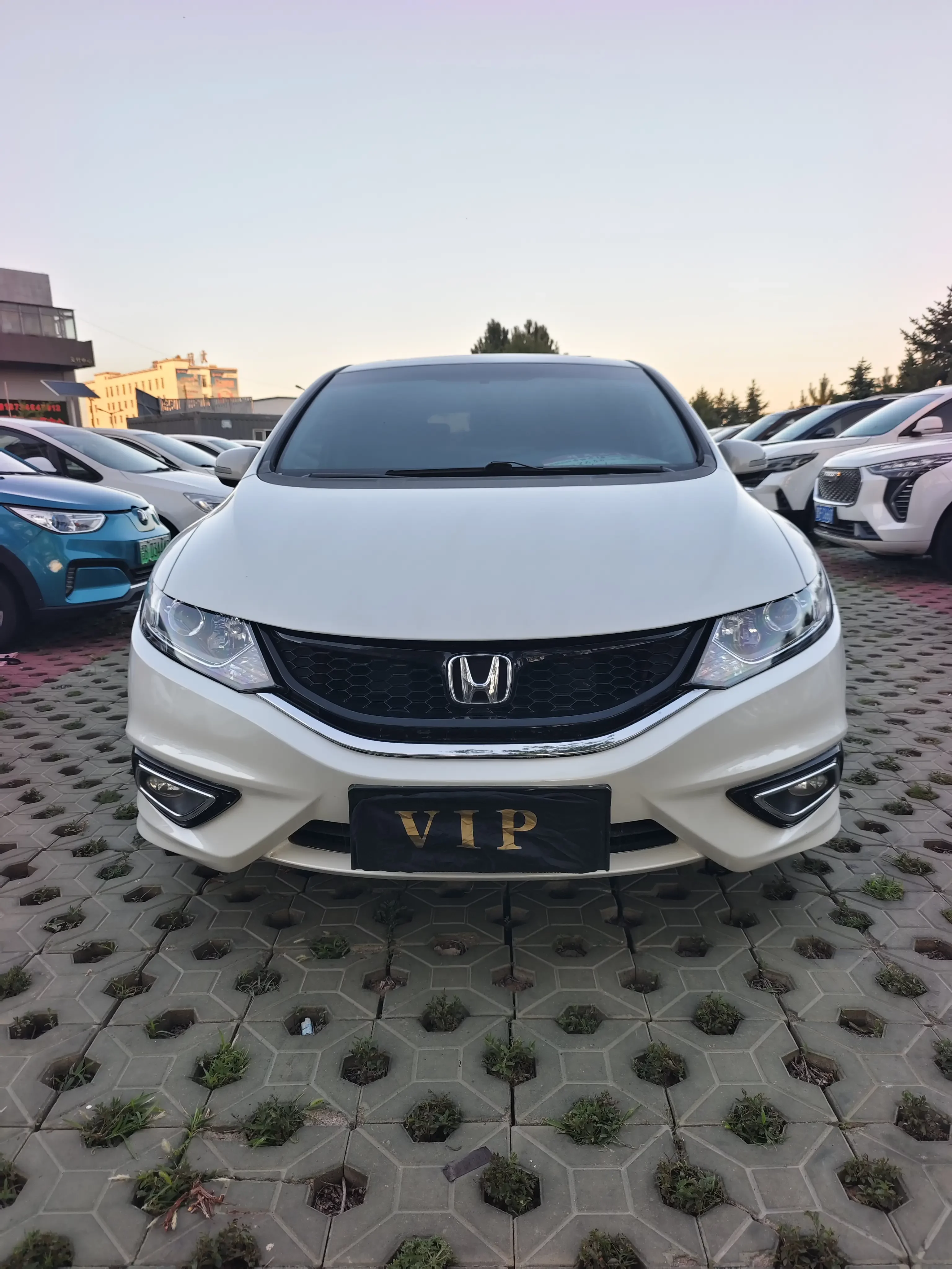 Honda Jed