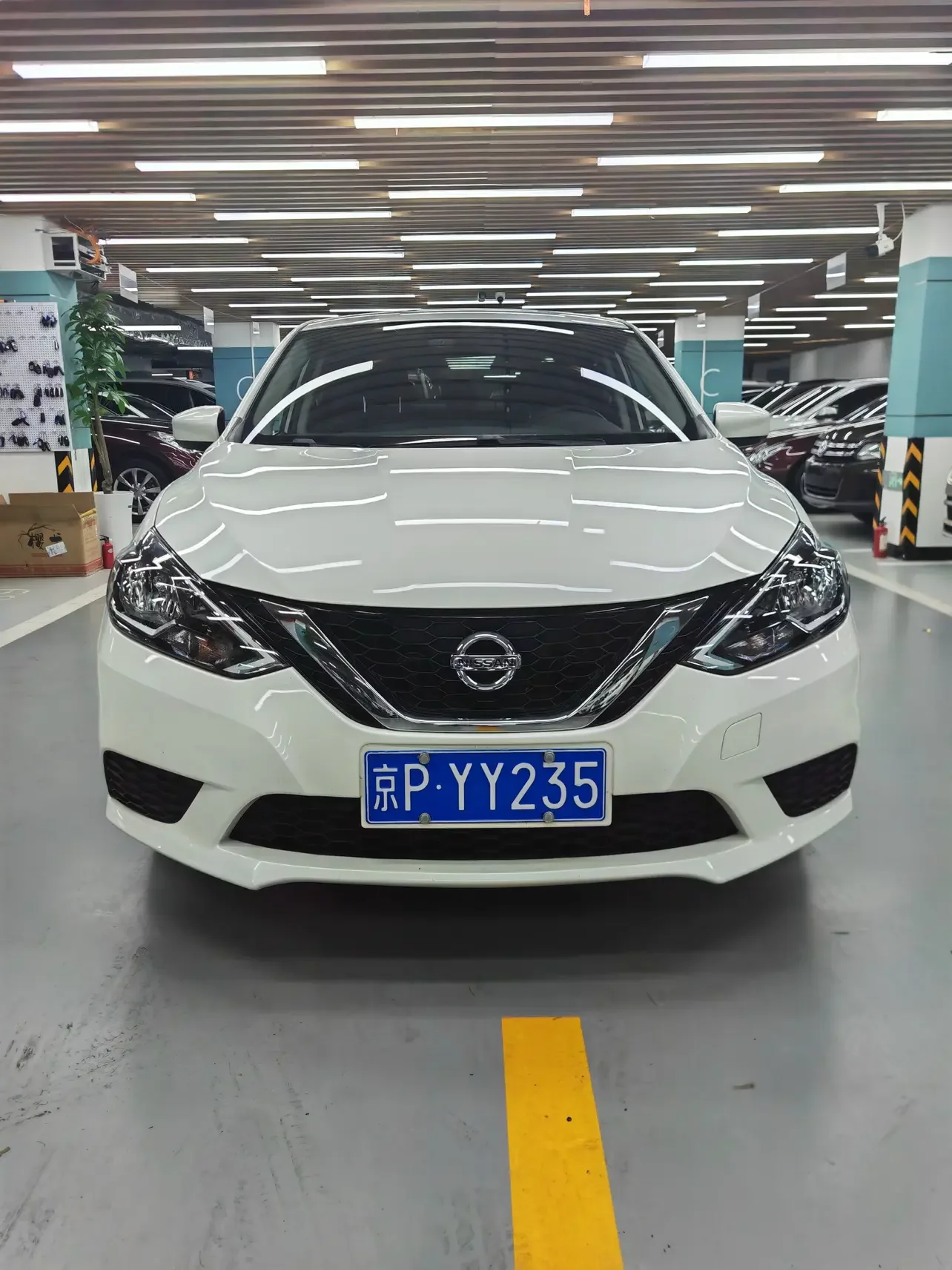 Nissan Sylphy  из Китая